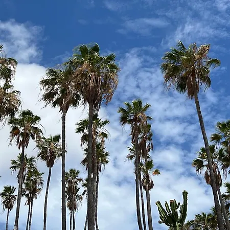 Paulmarie Atlantic View Terrace דירה אדחה