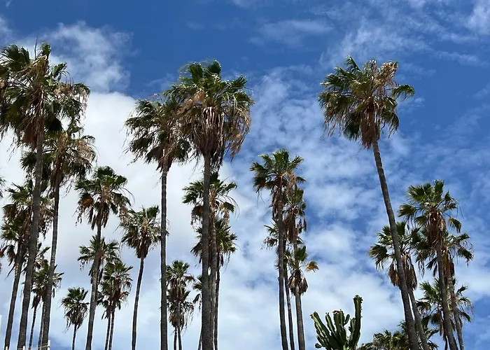 Paulmarie Atlantic View Terrace Appartamento Costa Adeje (Tenerife)